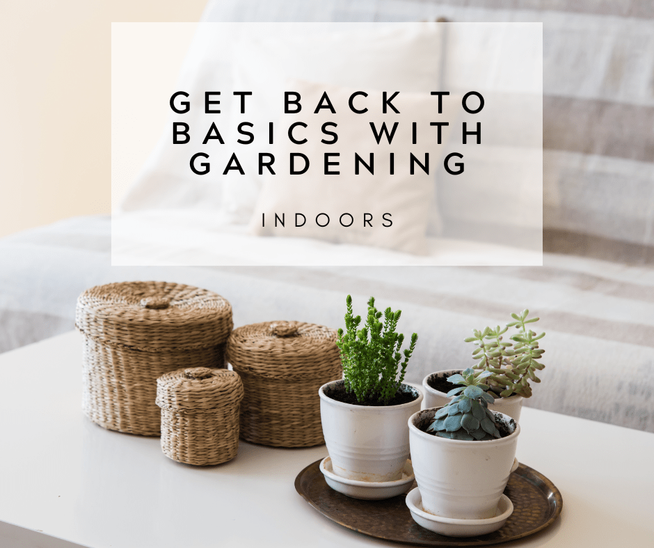Get back to basics with gardening